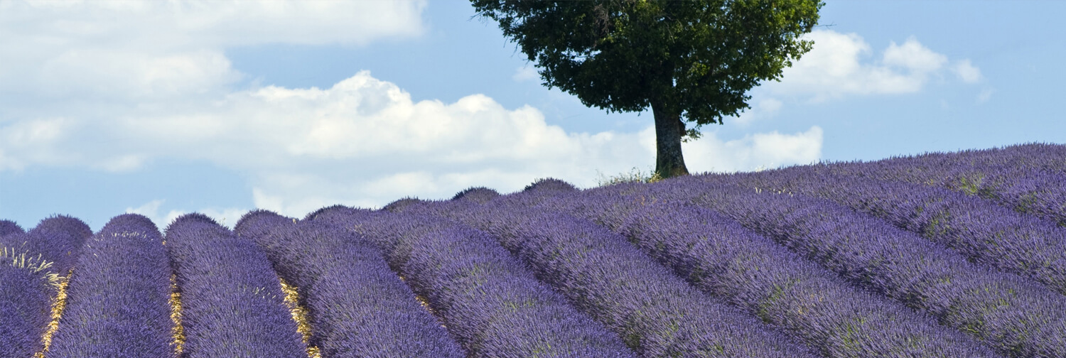 IZDELKI