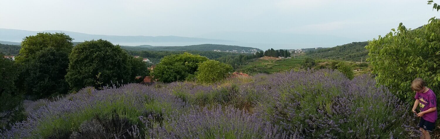 Naravni Izdelki