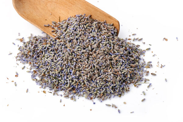 Lavender flowers